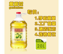 食用油選購(gòu)與使用指南 健康廚房的黃金選擇