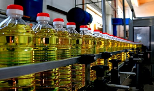 2021年11月食用油機(jī)械設(shè)備行業(yè)熱點(diǎn)聚焦 創(chuàng)新驅(qū)動(dòng)與市場(chǎng)新機(jī)遇