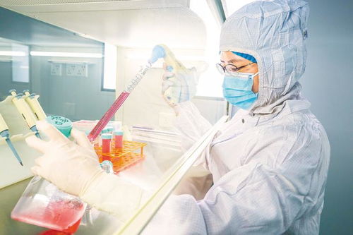 探索生物技術(shù)研發(fā)新路徑 東楚網(wǎng)的創(chuàng)新實(shí)踐與未來(lái)展望